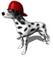 firedog_hat_mw.gif