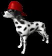 firedog_hat_mc.gif