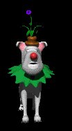 droopy_binko_lc.gif