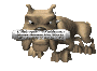dogn_newspaper_sc.gif