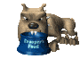 dogn_bowl_sc.gif