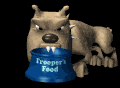 dogn_bowl_mb.gif