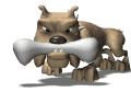 dogn_bone_mw.gif