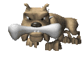 dogn_bone_mc.gif