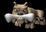 dogn_bone_lc.gif