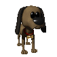 dog_wearing_collar_sc.gif