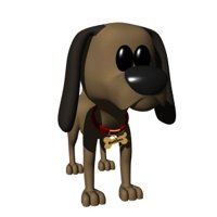 dog_wearing_collar.jpg