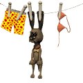 dog_on_clothesline_mw.gif