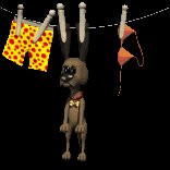 dog_on_clothesline_lc.gif