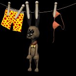 dog_on_clothesline_lb.gif