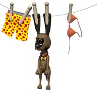 dog_on_clothesline.jpg