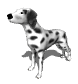 dog_look_sw.gif