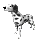 dog_look_sc.gif
