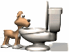 dog_drinking_toilet_sw.gif