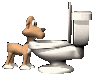 dog_drinking_toilet_sc.gif