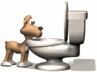 dog_drinking_toilet_mw.gif