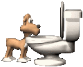 dog_drinking_toilet_mc.gif