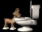 dog_drinking_toilet_mb.gif