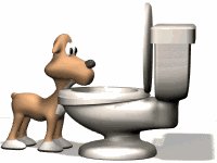 dog_drinking_toilet_lw.gif