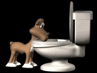 dog_drinking_toilet_lb.gif