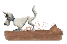 dog_digg_lc.gif