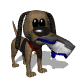 dog_chewing_shoe_sw.gif