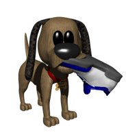 dog_chewing_shoe_hr.jpg