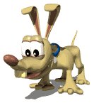 dog_blink_toon_lw.gif