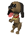 dog_begging_sc.gif