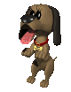 dog_begging_mc.gif