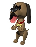 dog_begging.jpg