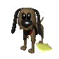 dog_accident_sc.gif
