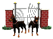 doberman_guarding_gate_sc.gif
