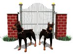 doberman_guarding_gate_mw.gif
