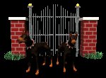 doberman_guarding_gate_mc.gif