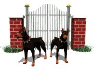 doberman_guarding_gate_lw.gif