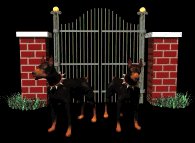 doberman_guarding_gate_lb.gif