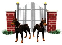 doberman_guarding_gate.jpg
