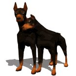 doberman_couple_lw.gif