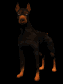 doberman_blinking_sb.gif