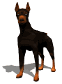 doberman_blinking_mw.gif