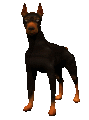 doberman_blinking_mc.gif