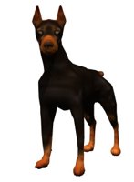 doberman_blinking.jpg
