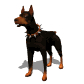 doberman_barking_sw.gif