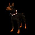 doberman_barking_mc.gif