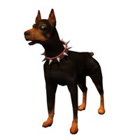 doberman_barking.jpg