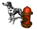 dalmation_watch_mw.gif