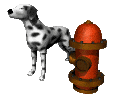 dalmation_watch_mc.gif