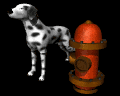 dalmation_watch_mb.gif