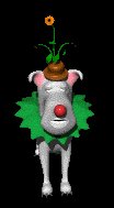 clown_binko_wilting_lc.gif